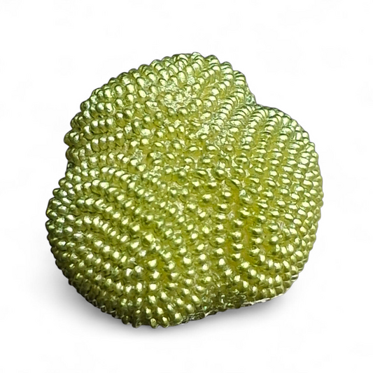 Bottone vintage verde in galalite anni ’60-’70 #0115