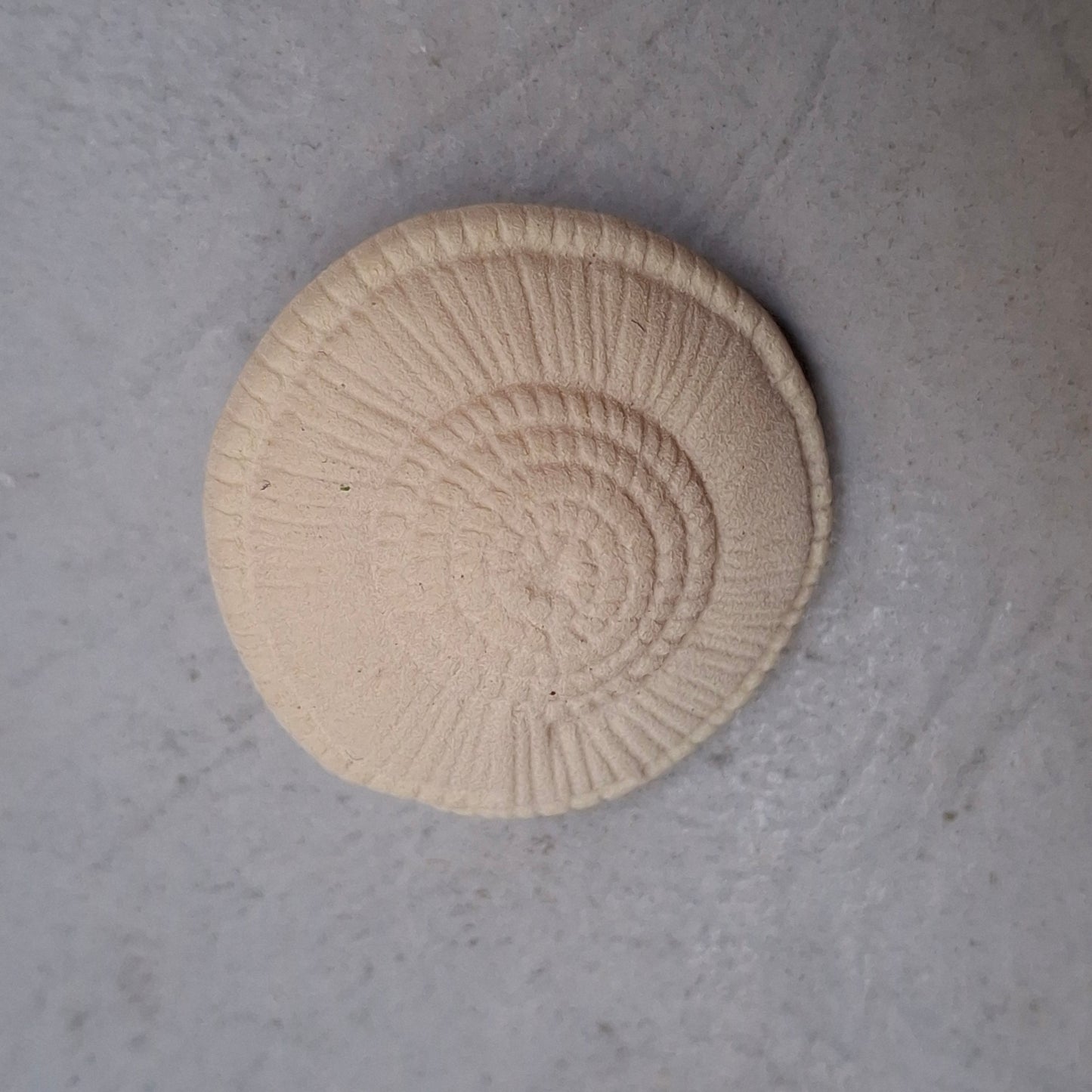 Bottone Forma Ammonite con Gambo - Panna